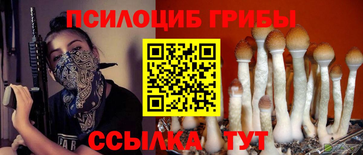 Егорьевск  Галлюциногенные грибы мицелий  Вход с VPN 